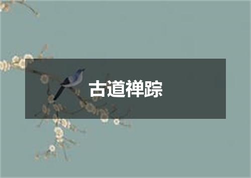 古道禅踪