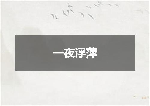 一夜浮萍