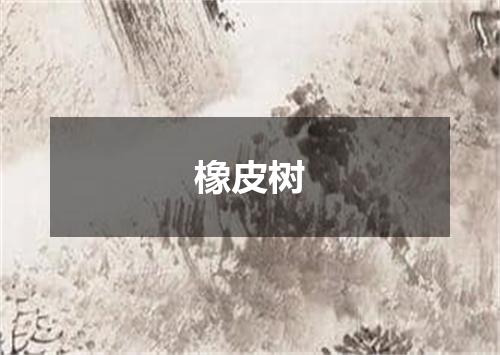 橡皮树