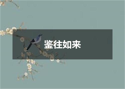 鉴往如来