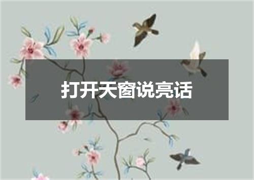 打开天窗说亮话