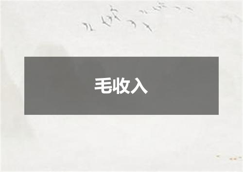 毛收入