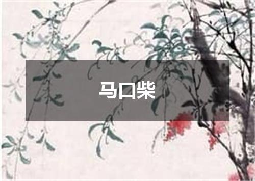 马口柴