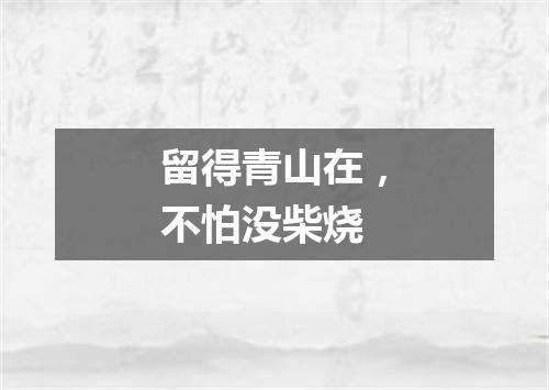 留得青山在，不怕没柴烧