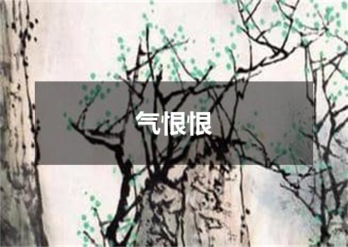 气恨恨
