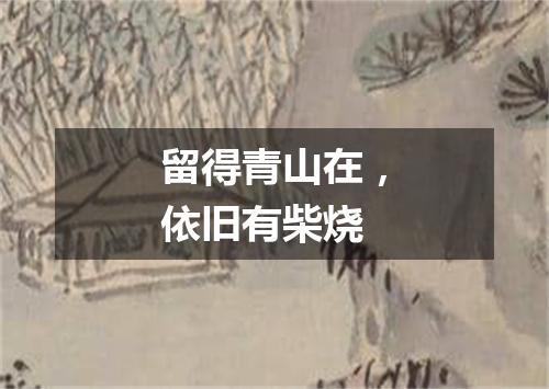 留得青山在，依旧有柴烧