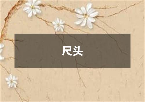 尺头