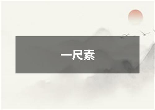 一尺素