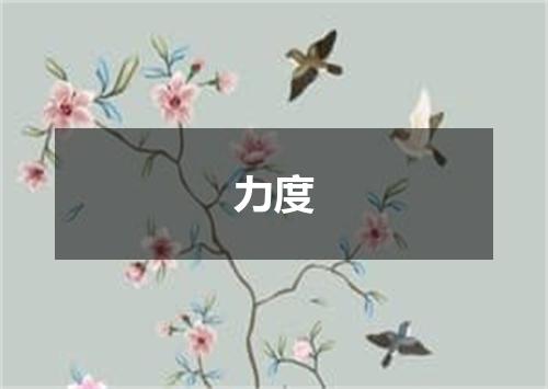 力度