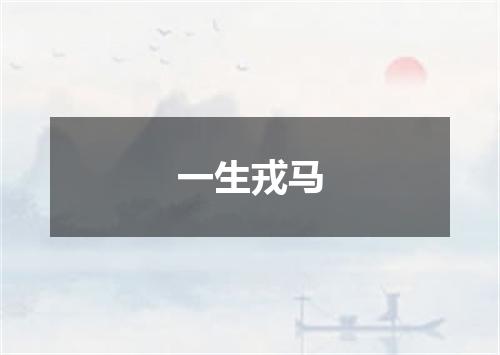 一生戎马