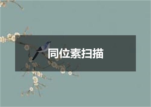 同位素扫描