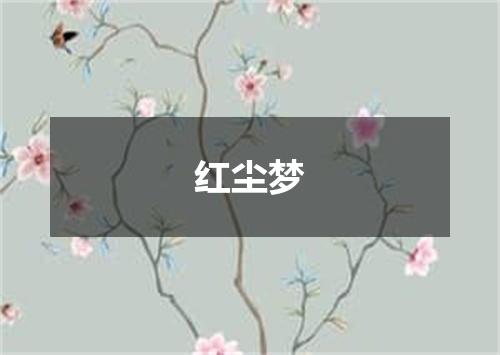红尘梦