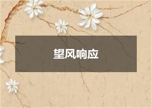 望风响应