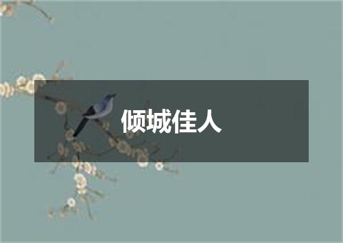 倾城佳人