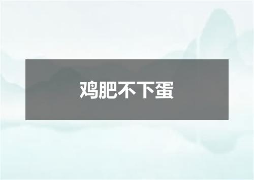 鸡肥不下蛋