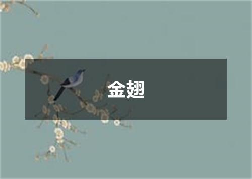 金翅