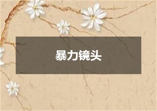 暴力镜头