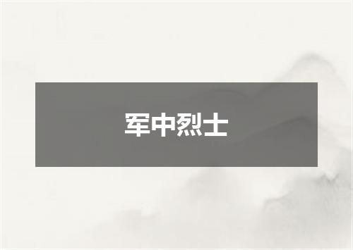 军中烈士