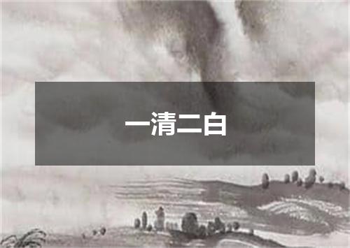 一清二白