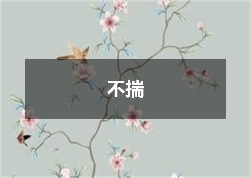 不揣
