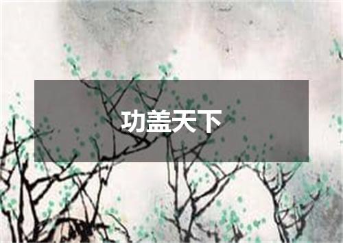 功盖天下