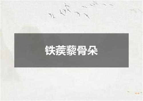 铁蒺藜骨朵
