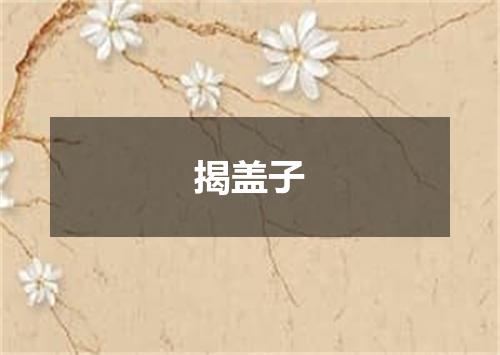 揭盖子