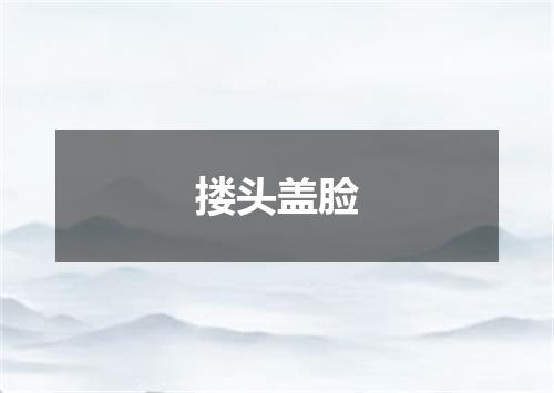 搂头盖脸