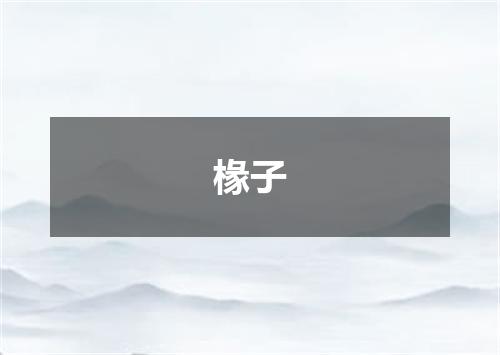 椽子