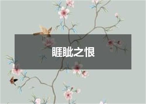 睚眦之恨