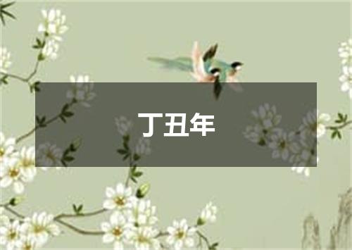 丁丑年