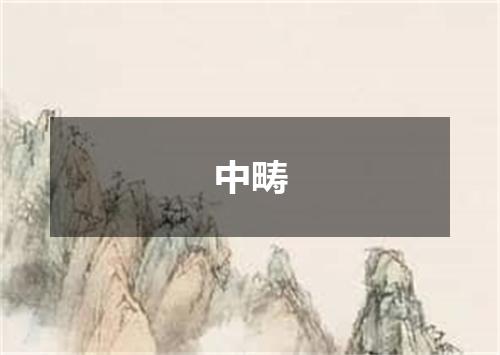 中畴