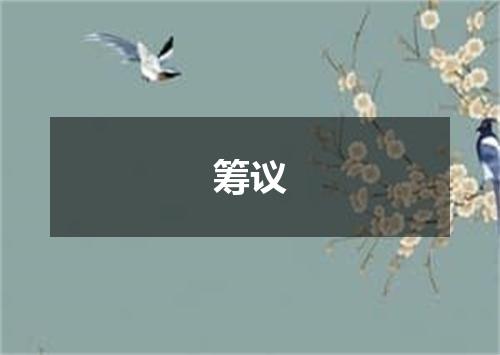 筹议