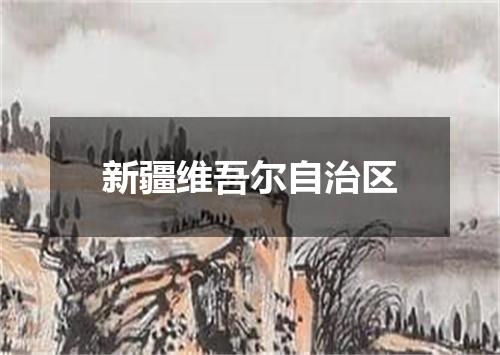 新疆维吾尔自治区