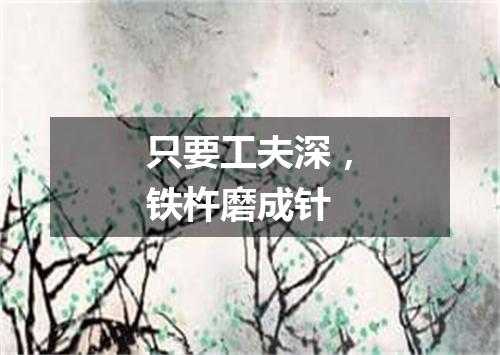 只要工夫深，铁杵磨成针