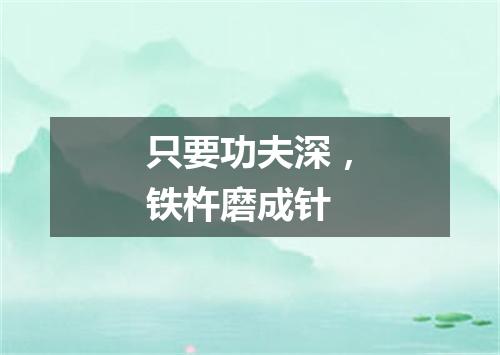 只要功夫深，铁杵磨成针