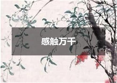 感触万千