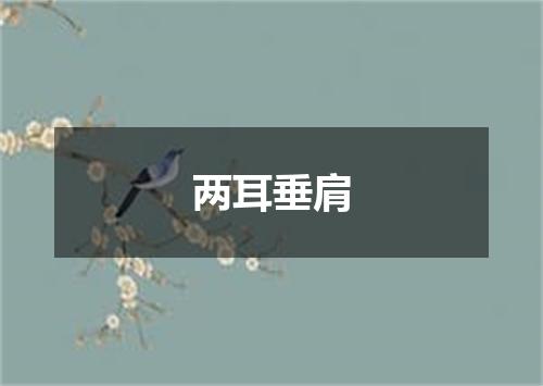 两耳垂肩