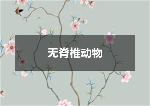 无脊椎动物