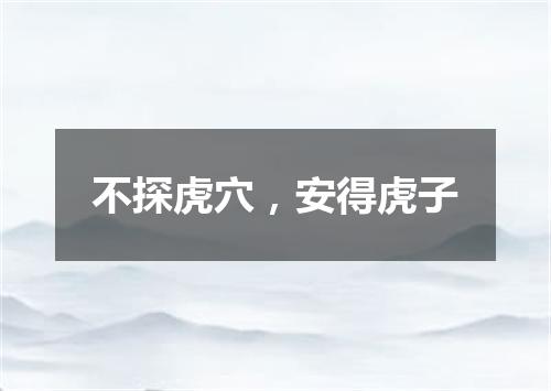 不探虎穴，安得虎子