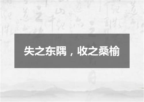 失之东隅，收之桑榆