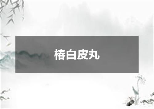椿白皮丸