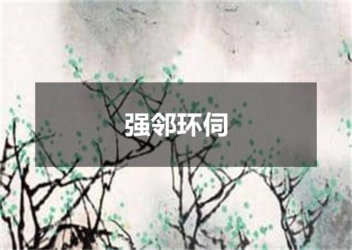 强邻环伺