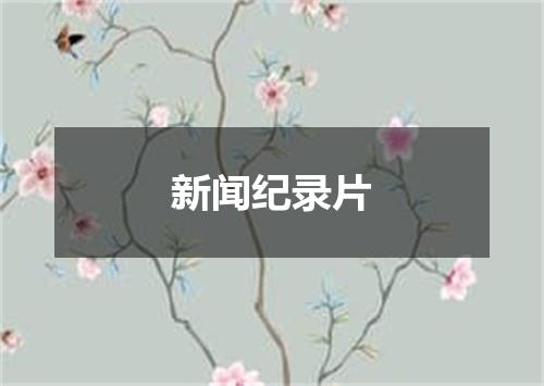 新闻纪录片