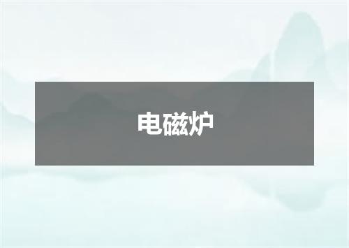 电磁炉