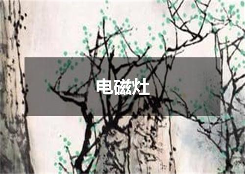 电磁灶