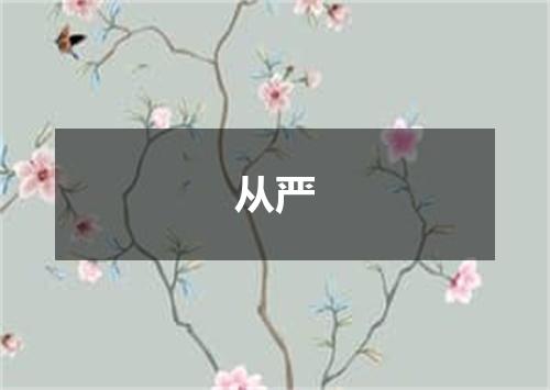 从严