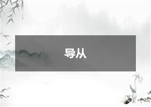 导从