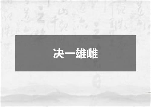 决一雄雌
