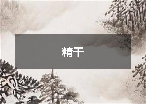 精干